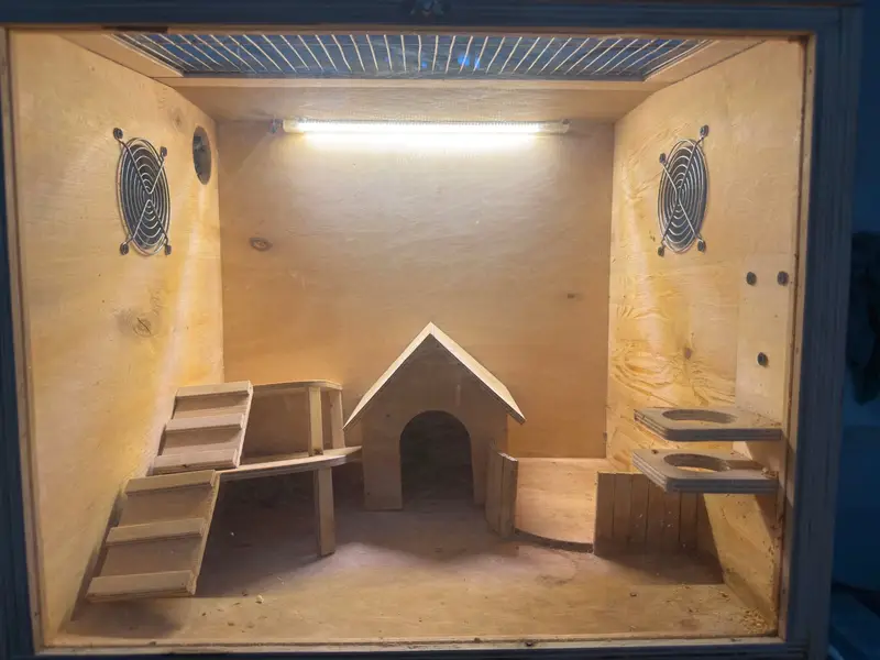 Hamster home — photo 3