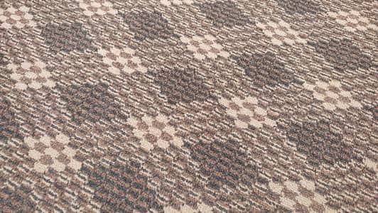Venus Carpet 30x11 ft
