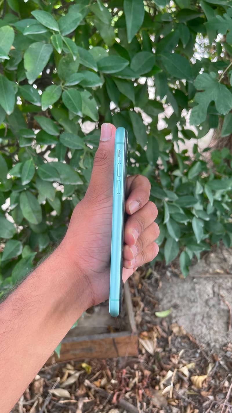 Apple iPhone 11 2