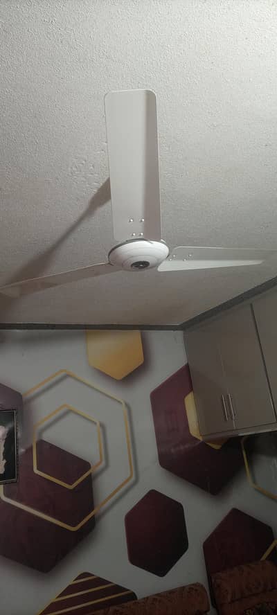 royal fan