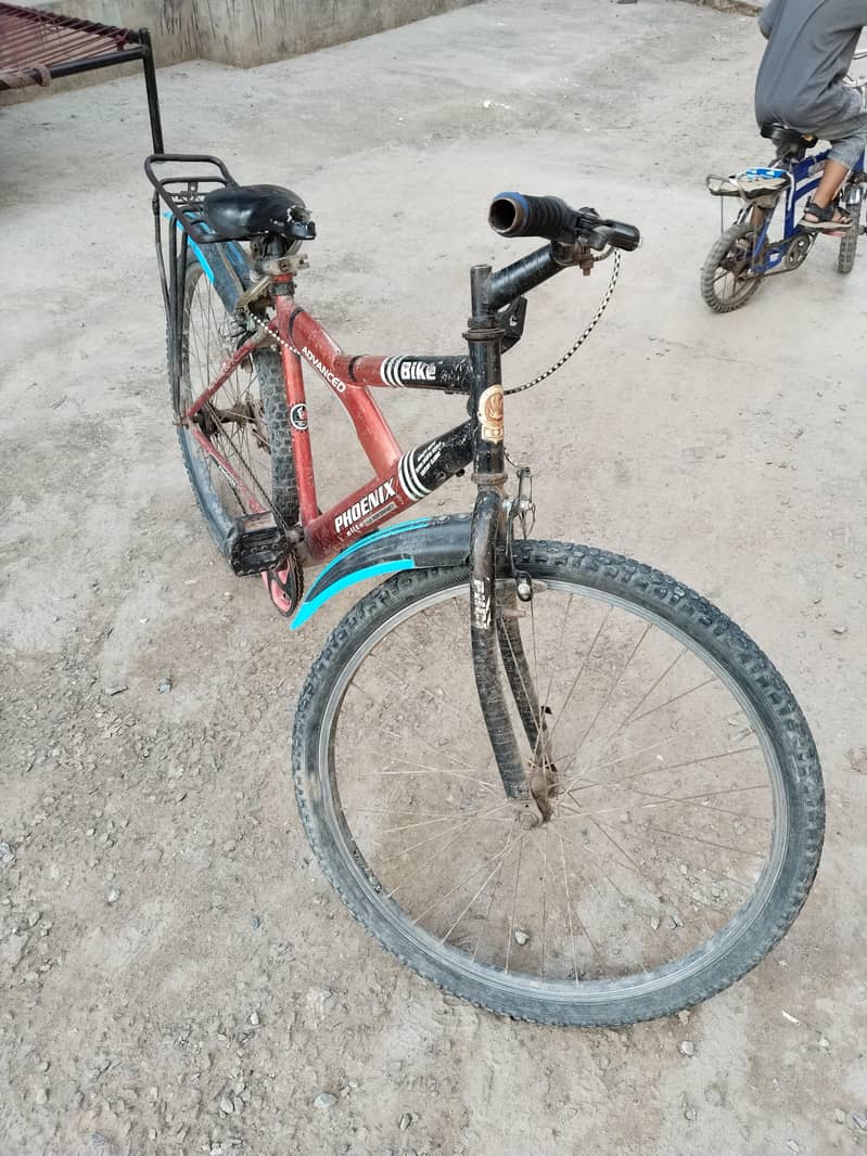 cycle 3