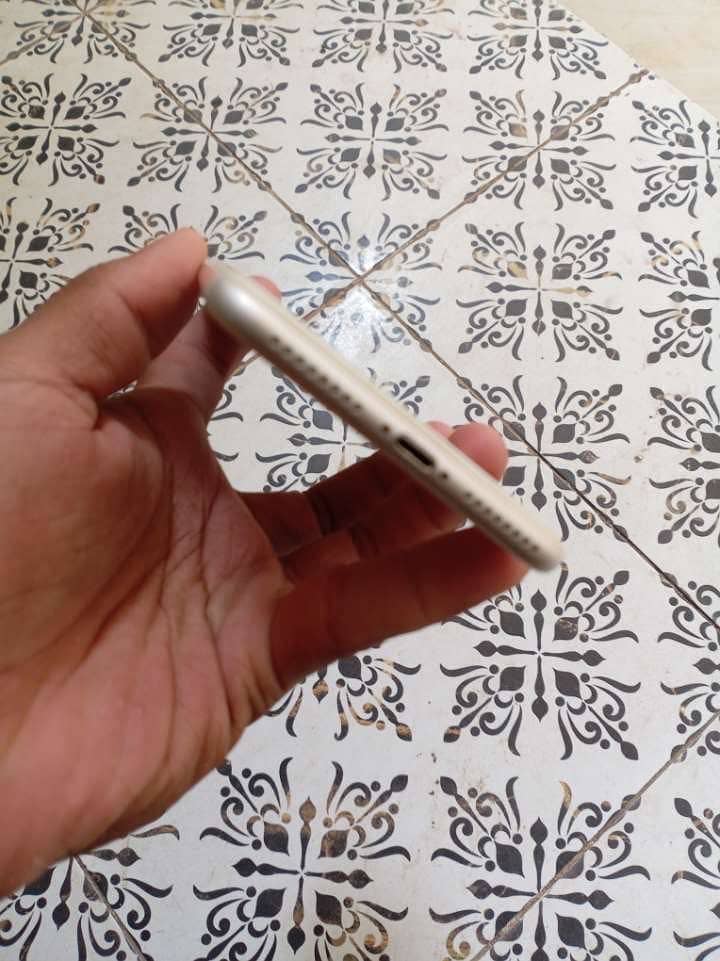 Apple iPhone 7 Plus 1