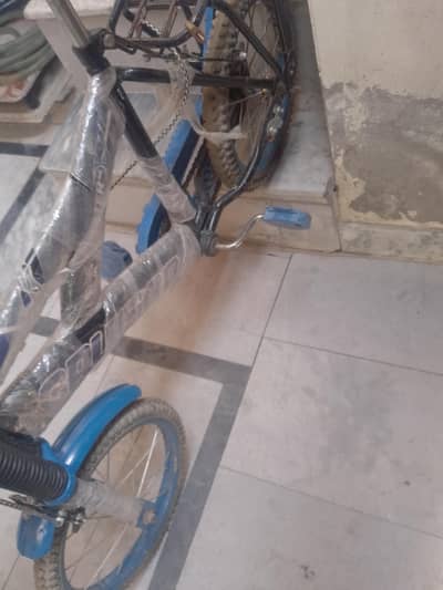 child cycle