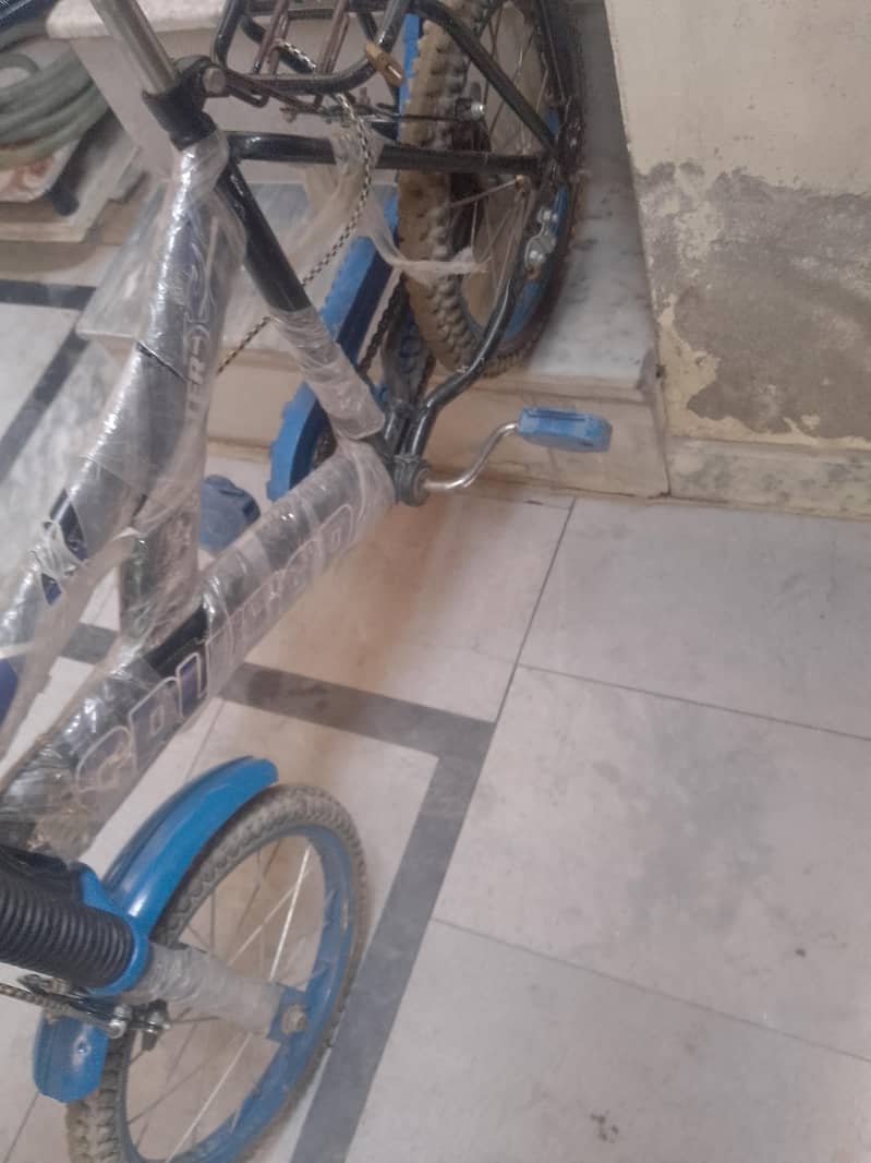 child cycle 0