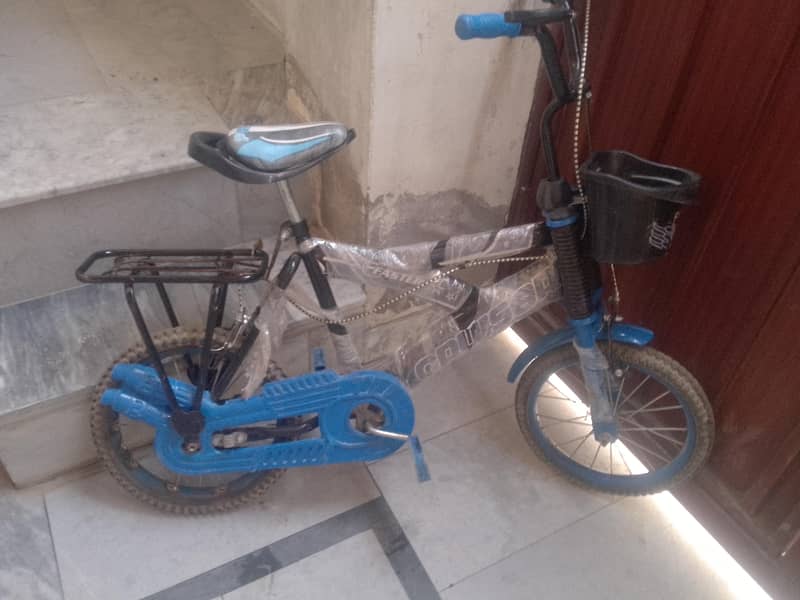 child cycle 2