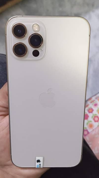 Apple iPhone 12 Pro