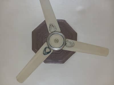 ceiling Fan