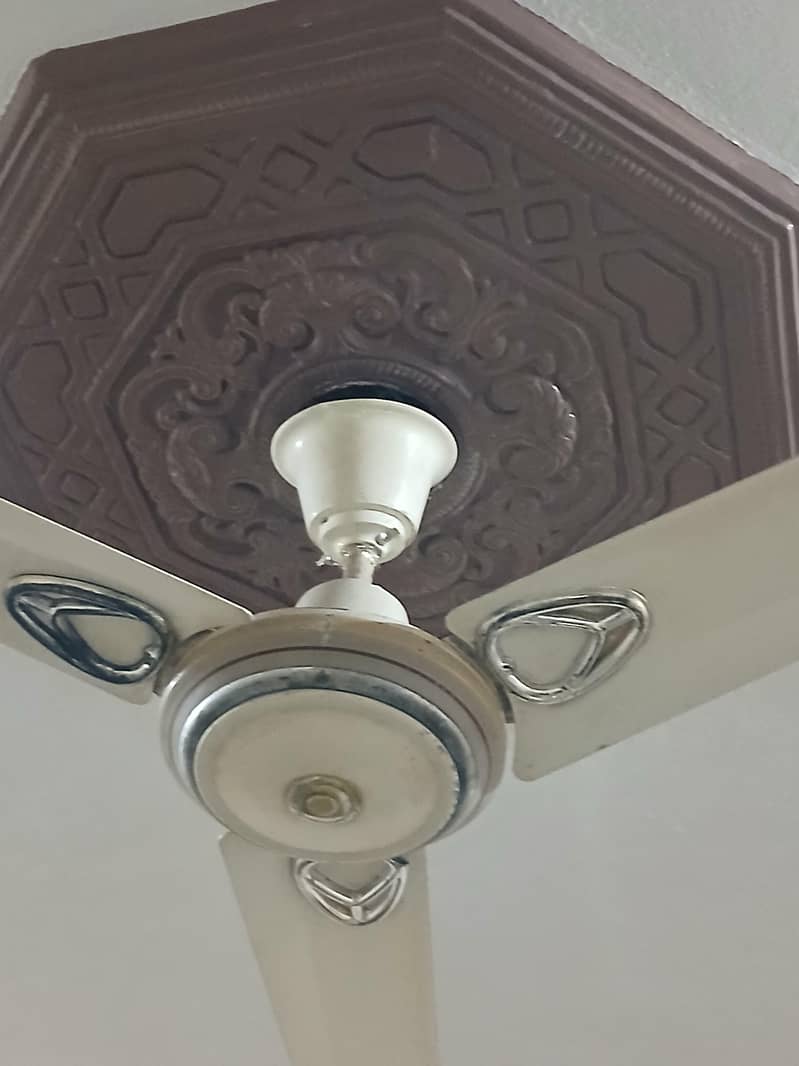 ceiling Fan 1