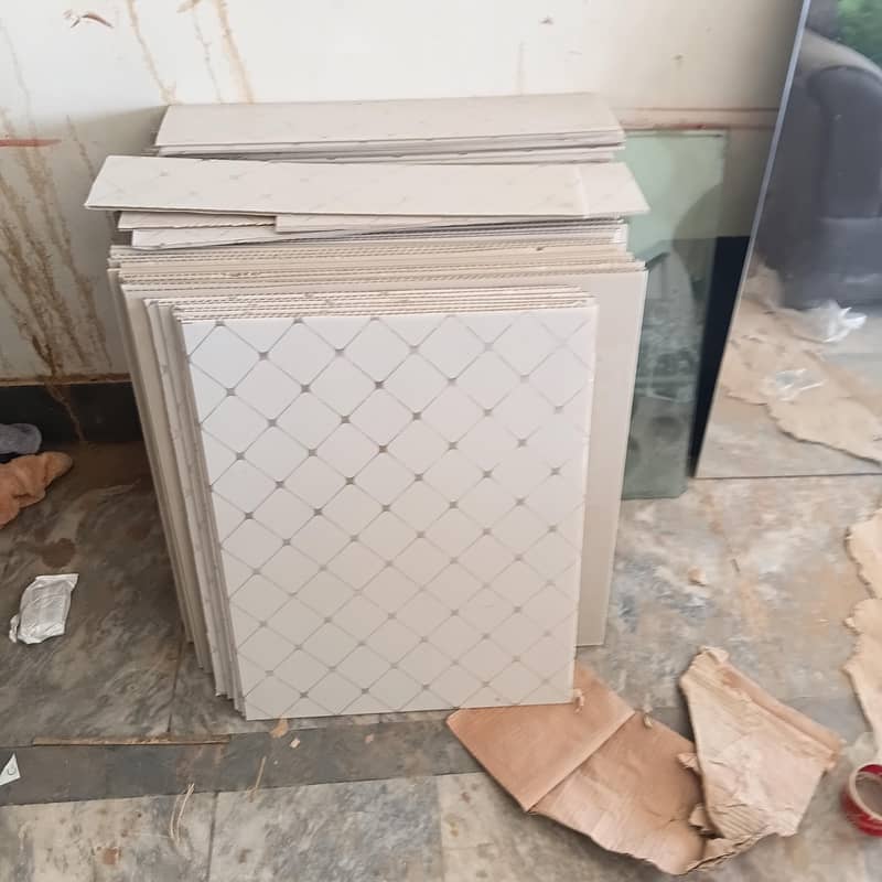 Ceiling 20x14 1