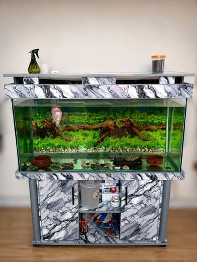 Almost new 4 Feet 8mm glass Aquarium with Accessories