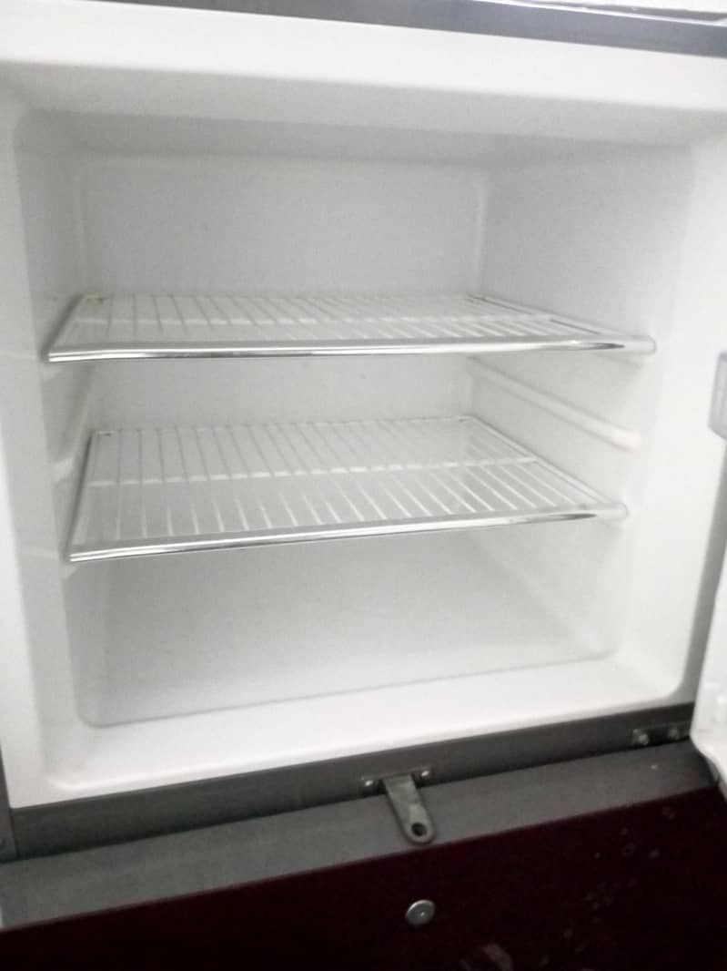frige 1