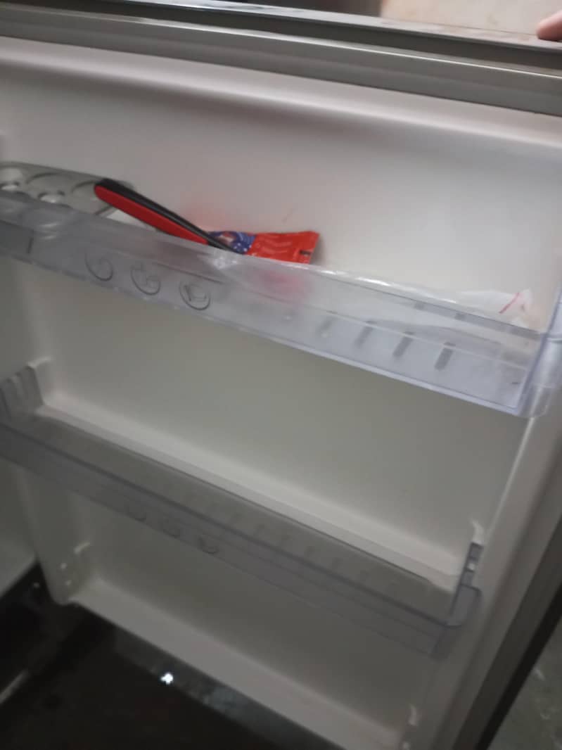 frige 4