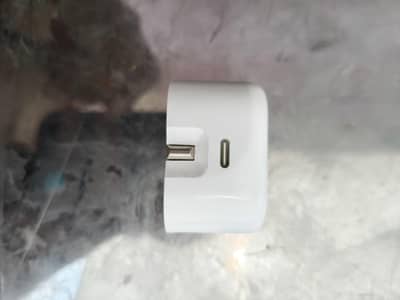 iPhone adaptor