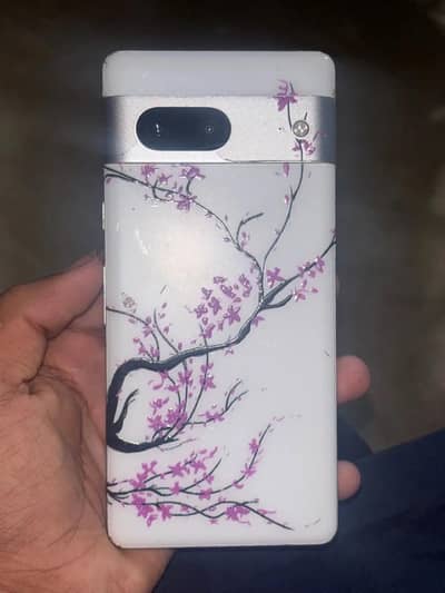 Google pixel 7 PTA ha