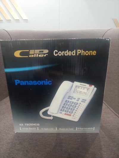 Panasonic