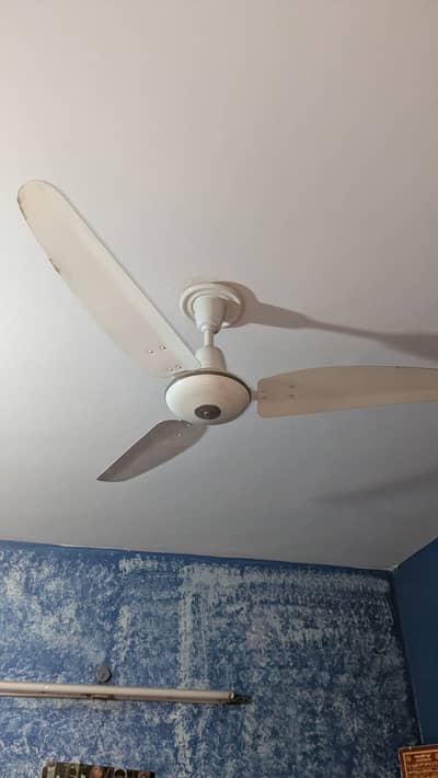 Ceiling Fans
