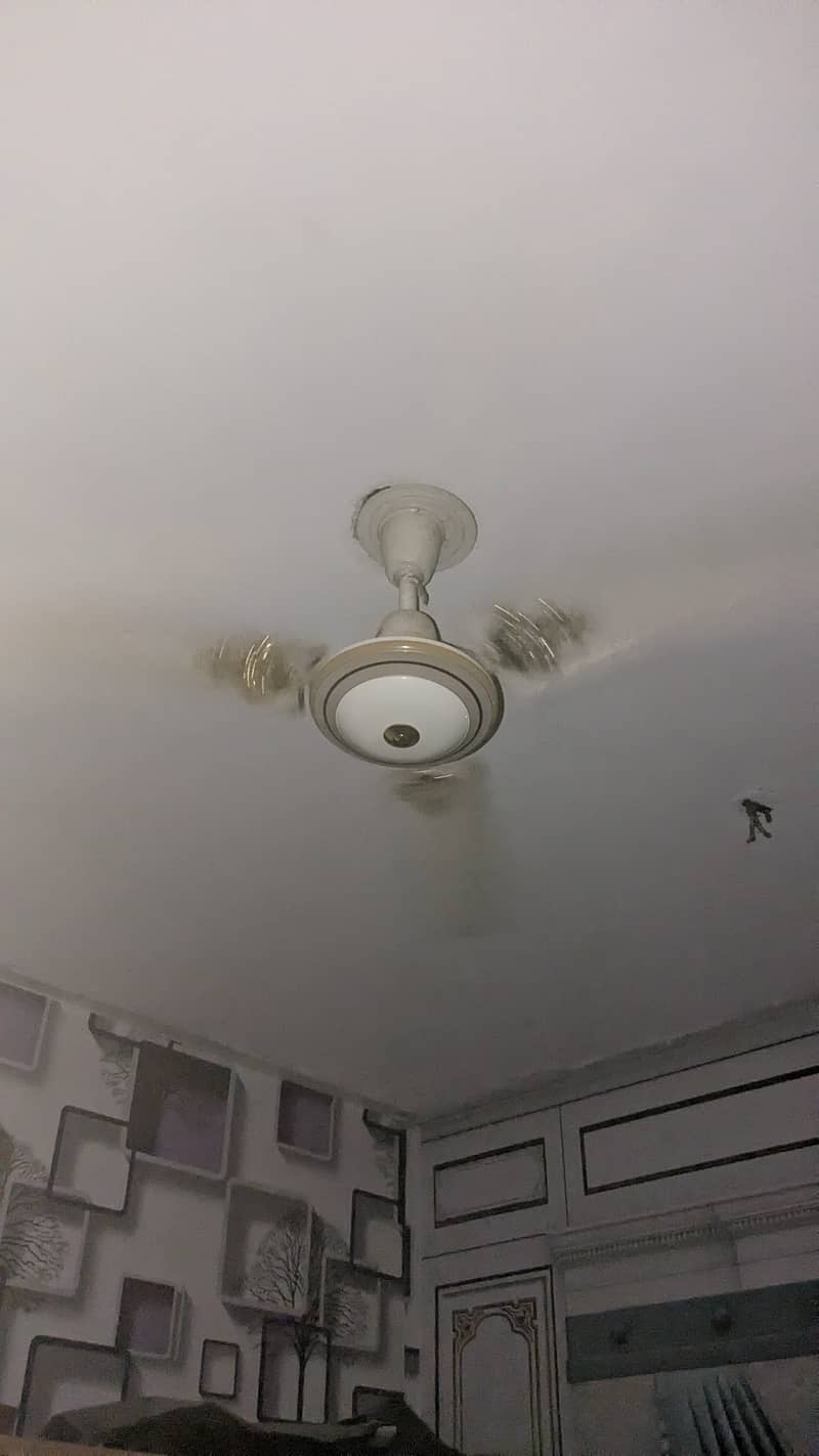 Ceiling Fans 1