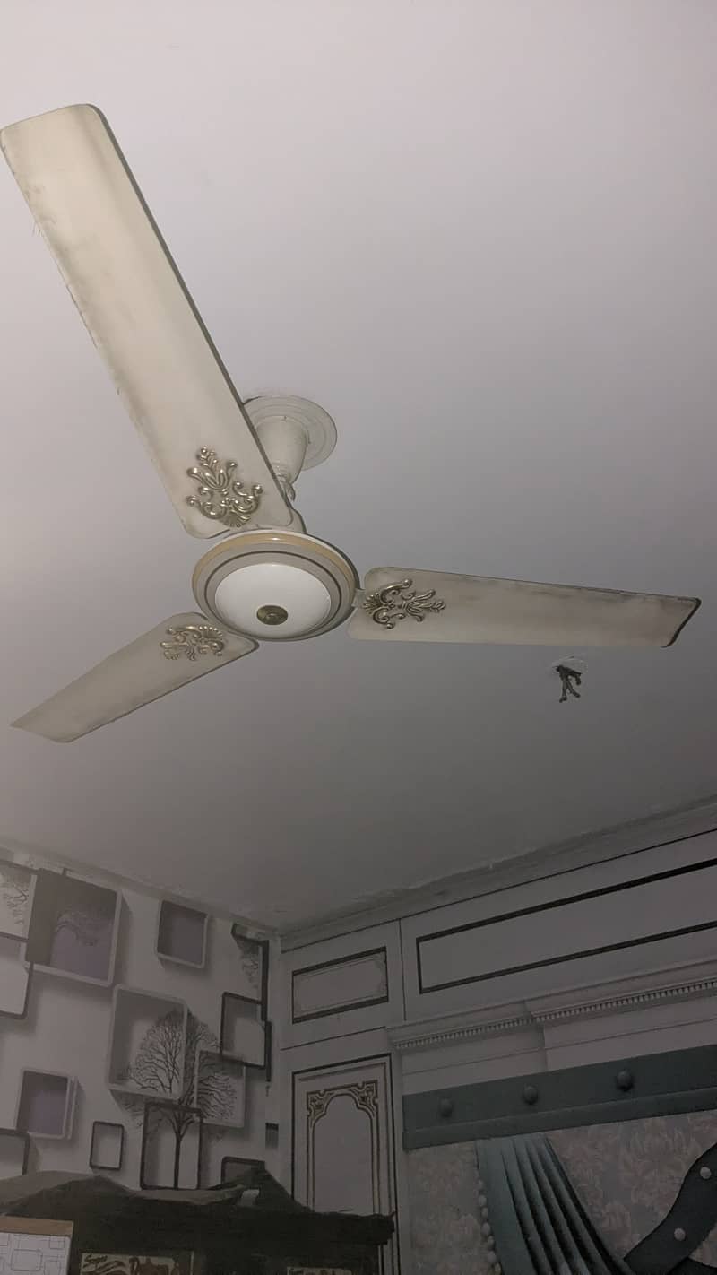 Ceiling Fans 2