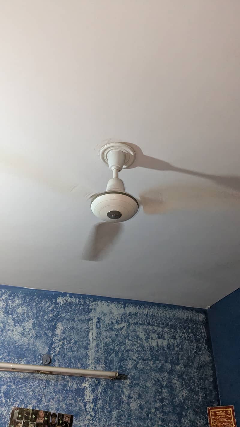 Ceiling Fans 3