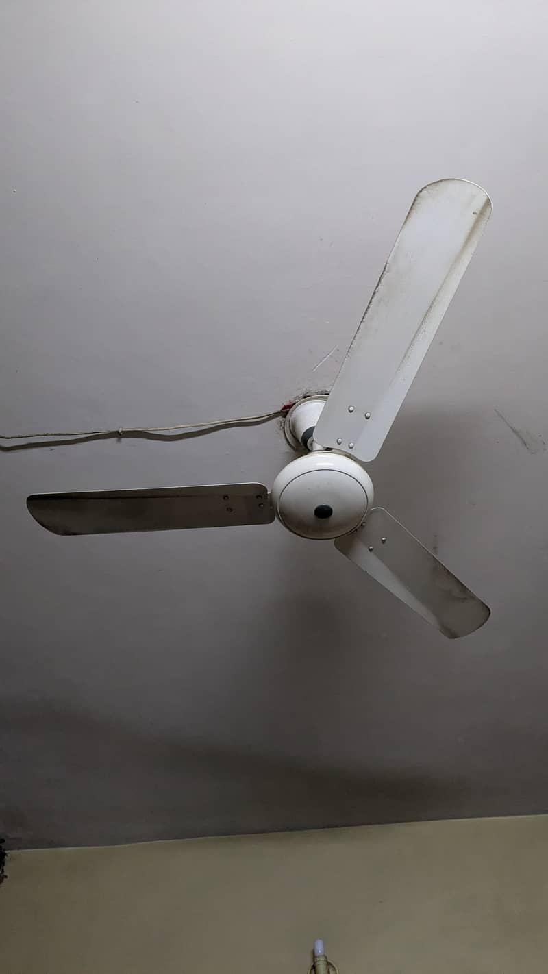 Ceiling Fans 4