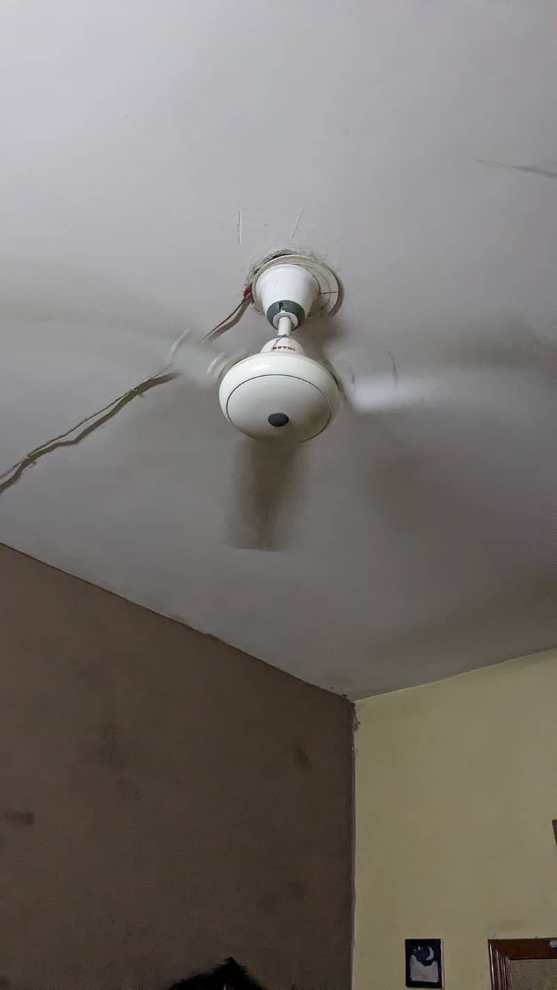 Ceiling Fans 5