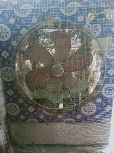 lahori Air colar