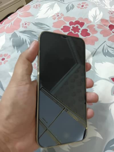 Apple iPhone 12 Pro Max