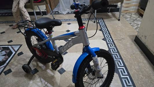 Bicycle for sale