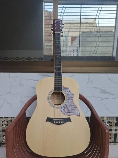 professional acoustic guitar