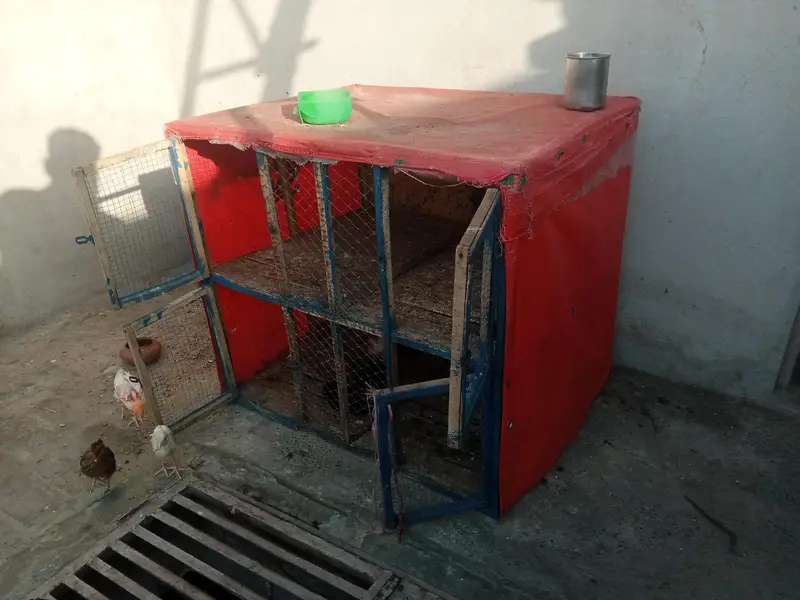pingra for sale 4 khana — photo 2