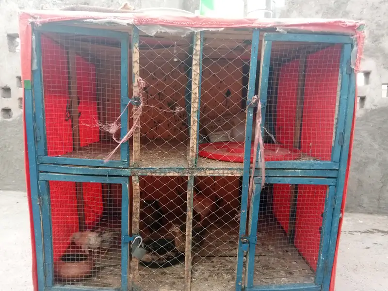 pingra for sale 4 khana — photo 8
