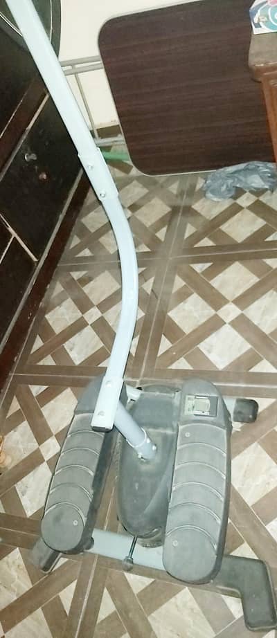 CARDIO TWISTER SWING STEPPER