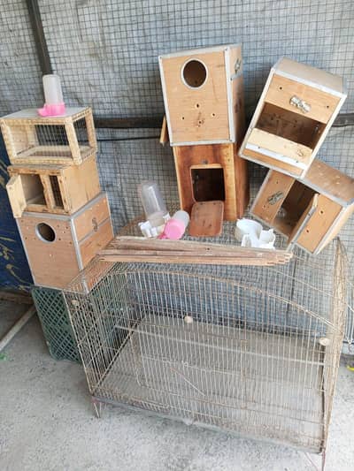Birds accessories are available