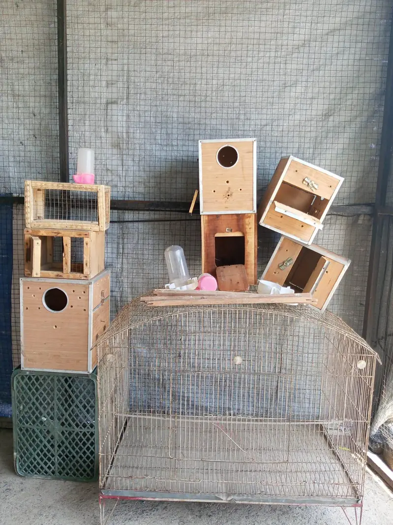 Birds accessories are available — photo 3