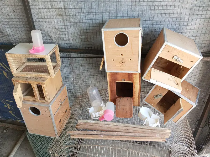 Birds accessories are available — photo 4