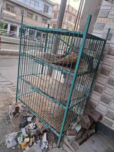 Chicken Gauge for shop