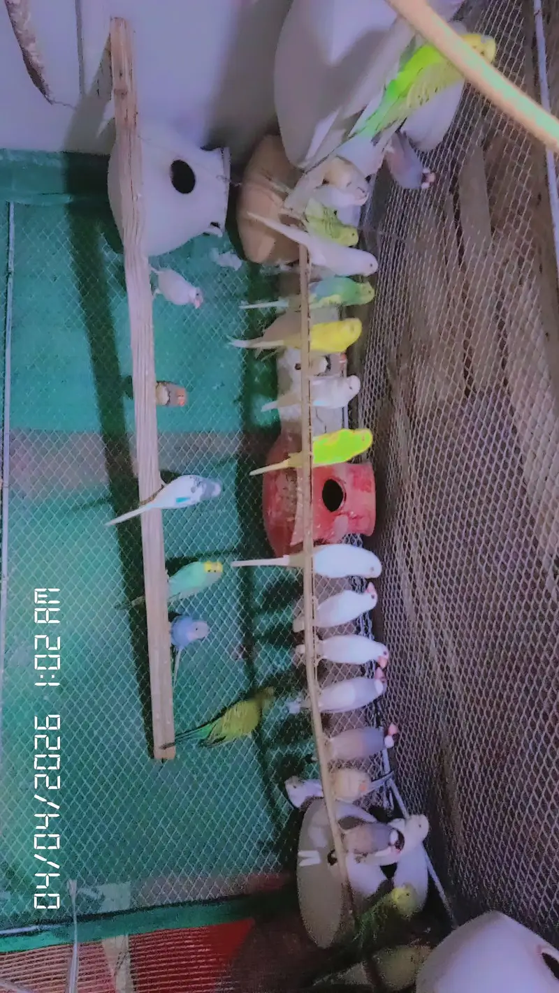 full setup sale kar Raha ho — photo 3