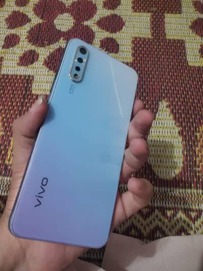 vivo manly