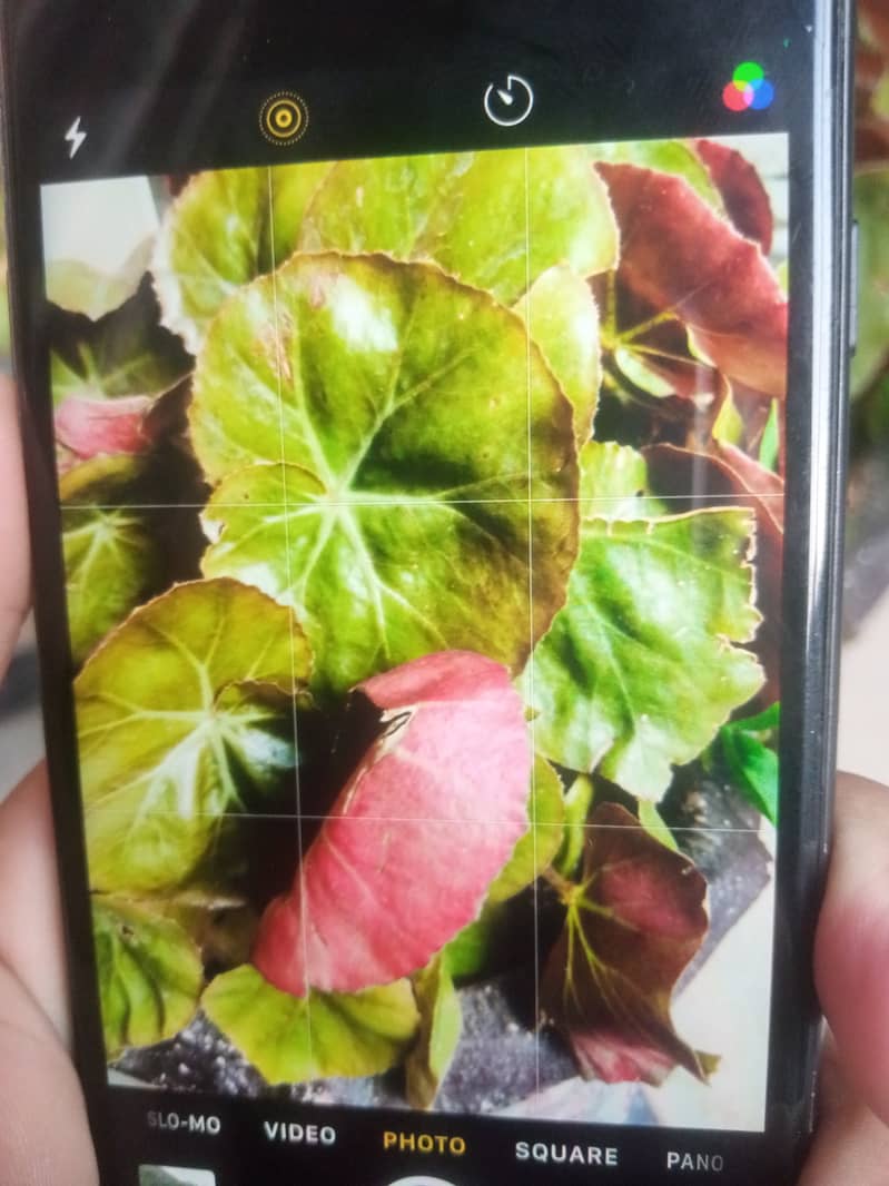Apple iPhone 8 2