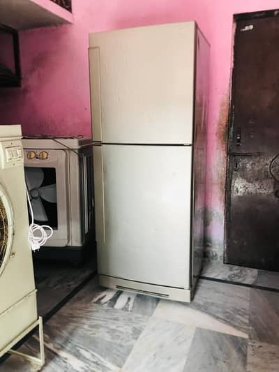 Standard Size Fridge