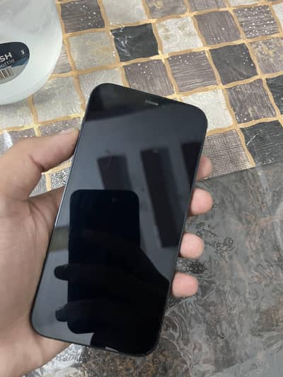 Apple iPhone 12
