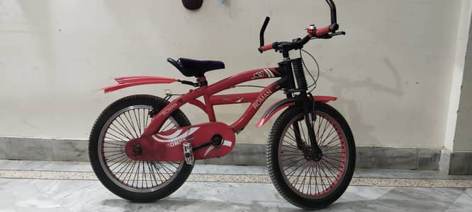 ROMAN CYCLE