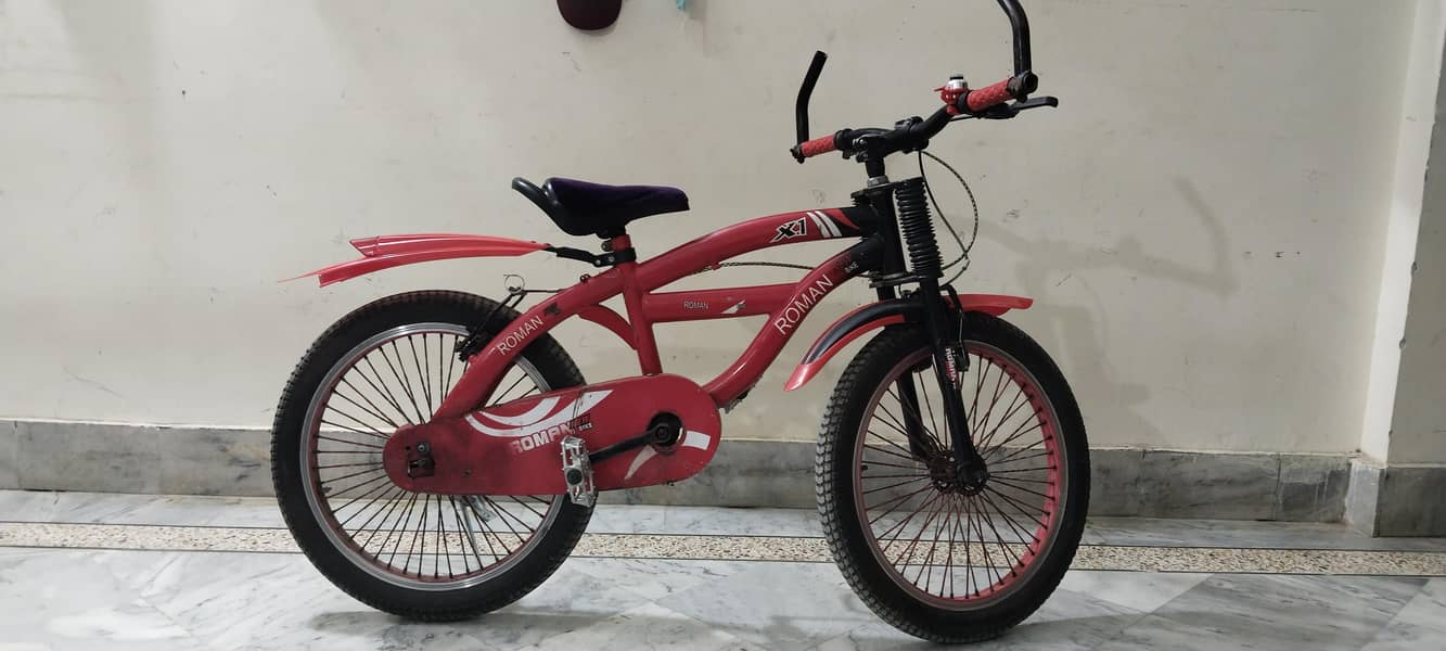 ROMAN CYCLE 0