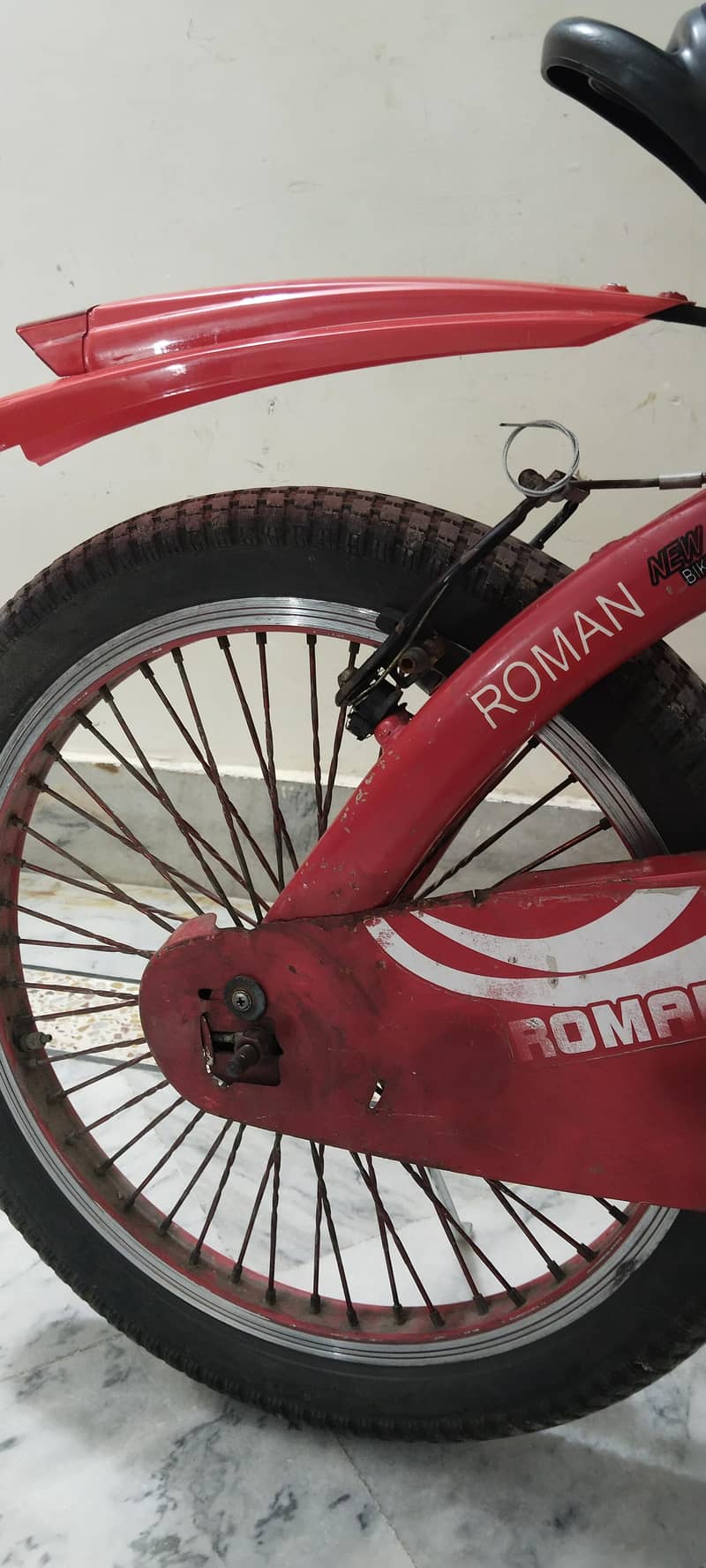 ROMAN CYCLE 2
