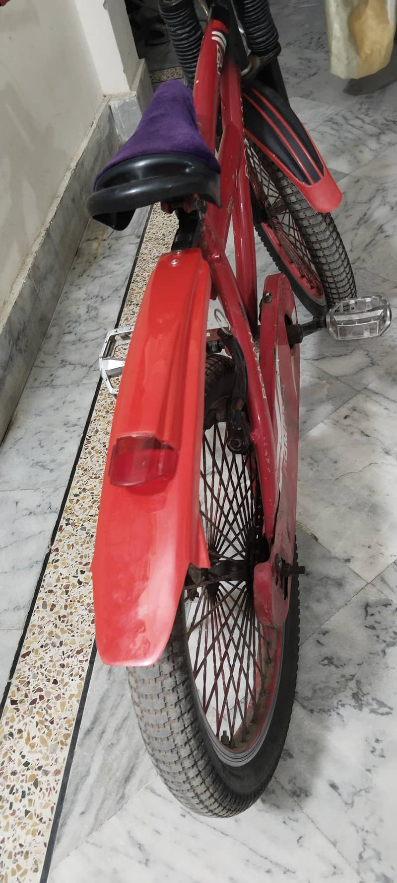 ROMAN CYCLE 6