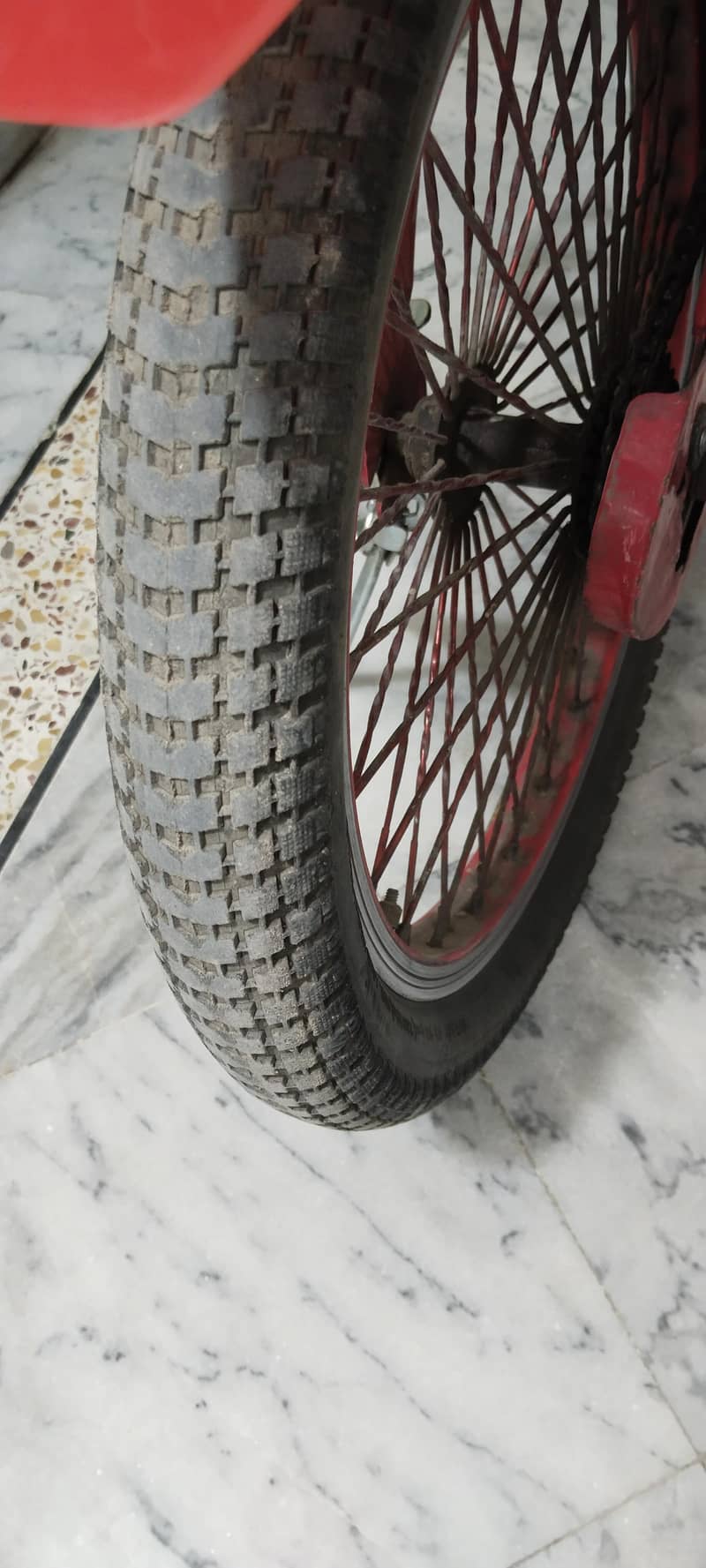 ROMAN CYCLE 7