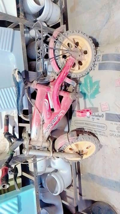 baby cycle