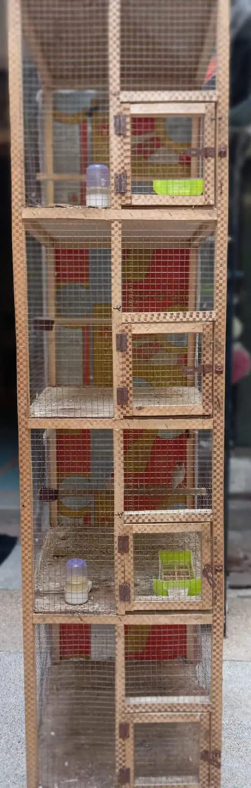 wood colony and iron cages — photo 3