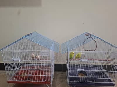 Java Birds Pair + Australian Parrot Pair + 2 Cages for Sale
