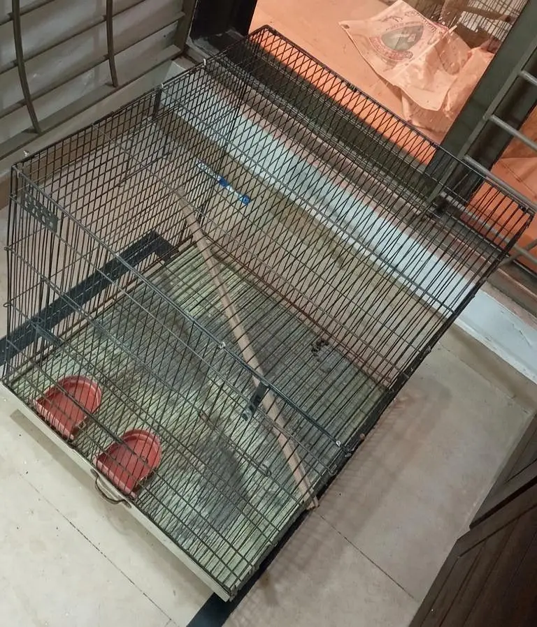Medium sized Bird Cage — photo 2